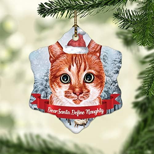3 инчи Почитуван Дедо Мраз дефинирајте непослушен Божиќни украси за мачки смешни подароци за кучиња и тато шестоаголни украси за деца момчиња