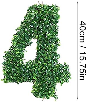 Ден на вinesубените Фото реквизити зелени фабрика за дигитална забава во позадина Орнаменти на едногодишно лого 3D ефект дигитални фото -реквизити за роденденски mugsho