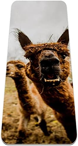 Siebzeh Llama Alpaca Selfie Премија Дебела Јога Мат Еко Пријателски Гума Здравје&засилувач; Фитнес Нелизгачки Мат За Сите Видови