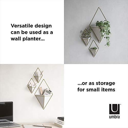 Umbra Trigg виси пластери вазна и геометриски wallиден декор керамички контејнер - одлично за сукулентни растенија, воздушна фабрика, мини кактус,