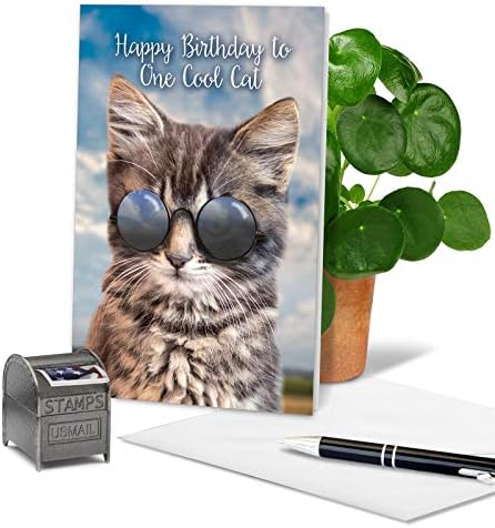 Најдобрата компанија за картички - 1 честитка за роденден на мачки со плик - симпатична канцелариска материи, Bay Notecard - Kool Kitties C6891EBDG