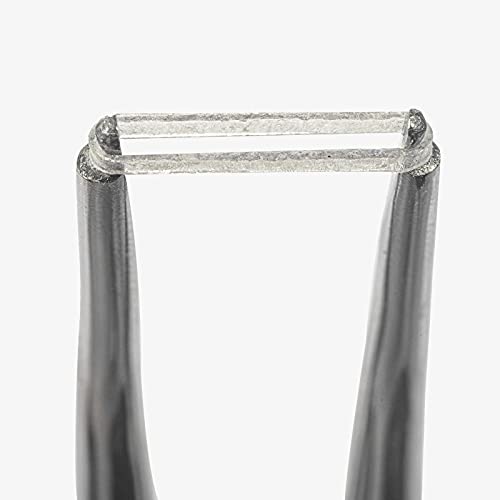 JMU Ортодонтска еластика 3/16 инчи Средна 4.5oz 500 пакет интраорални еластични ленти латекс бесплатни стоматолошки гумени ленти направени во