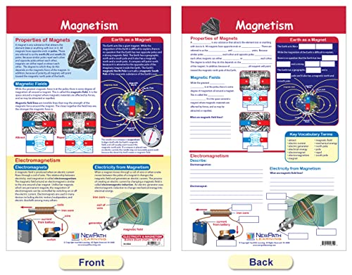 Графикони за билтени за електронска и магнетизам за учење NewPath, Set/3-ламинирана, двострана, полна боја, 12 x 18