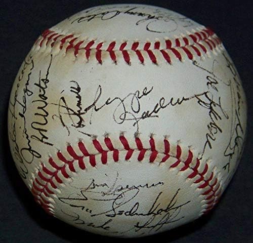 1980 година Јанкис Реџи acksексон гуска Госсаж Елстон Хауард Тим потпиша Бејзбол ЈСА - Автограмирани бејзбол
