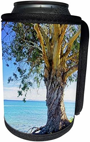 3дроза Еукалиптус Дрво на Брегот На Пацификот - Може Поладно Шише Заврши