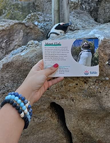 Фахло Пингвин Следење Нараквица, Еластична, поддржува Глобалната Пингвин Општество, една големина најмногу одговара За Мажи И Жени