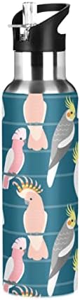 Глафи ​​симпатична цртана папагала шише со вода за деца, шише со вода од 20 мл со слама капак за училишно патување изолирано колба од не'рѓосувачки