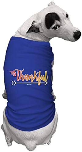 Благодарна стрела - кошула за кучиња