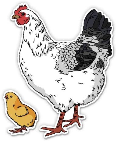 Кокошка и пилест пилешки удар во задниот двор - налепница од 5 винил - за лаптоп за автомобили I -рампа - водоотпорна декларација