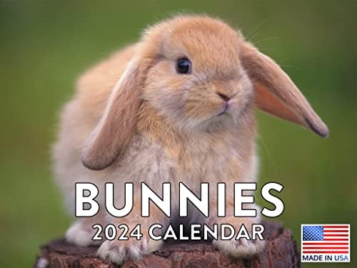 Календар За Зајачиња 2024 Ѕидни Подароци За Љубителите На Зајаци Месечен Каландер