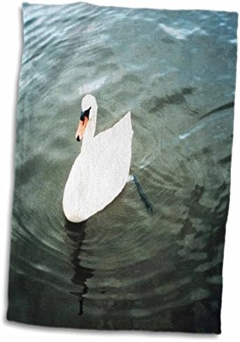 3drose Флорен птици - одличен бел лебед во вода - крпи