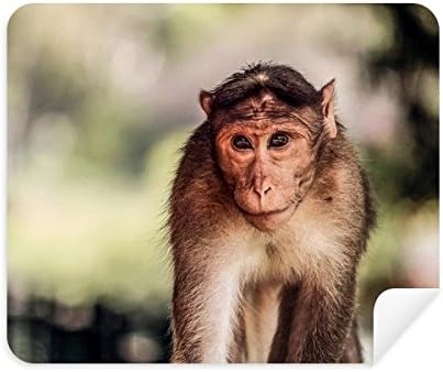 Мајмун Копнен Организам Крпа За Чистење Животни Чистач на Екран 2 парчиња Велур Ткаенина