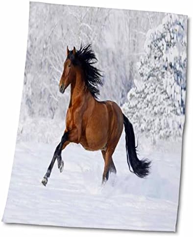Животните од 3дороза Флорен - слика на андалузија коњски галопирање во снег - крпи