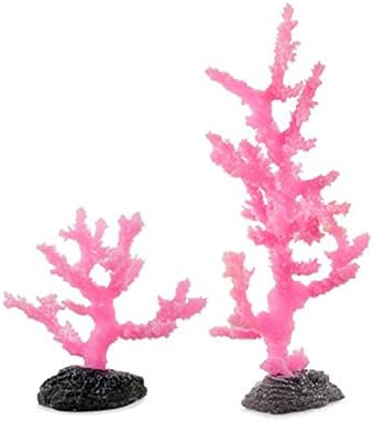 Синуларија Корал Мали Розови