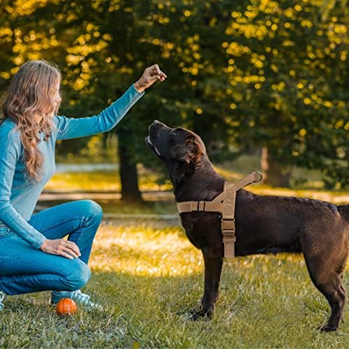 Ремен За Кучиња QIFBYFB, Без Прицврстувачи За Кучиња За Влечење За Мали Медлиумски Големи Кучиња Отпорни На Бегство Рефлектирачки Со Удобна