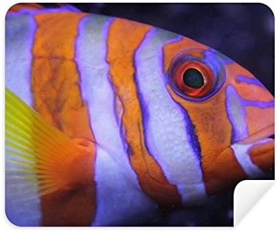 Морски Организам Тропски Риби Крпа За Чистење Животни Чистач на Екран 2 парчиња Велур Ткаенина