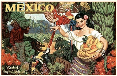 Ламинирана Мексико земја на тропски раскош латински корпа за корпа банани toucans macaws патувачки постер сув знак за бришење 36x24