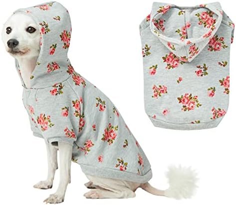 Боровинки миленичиња пролетни мириси инспирирани од розово цвеќе пуловер кучиња дуксери во стилска сива боја, задната должина 8