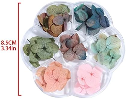 Сушени цвеќиња јапонски популарни кутии за нокти постави додатоци за нокти Бесмртни налепници за цвеќе на ноктите импресионираат маникир