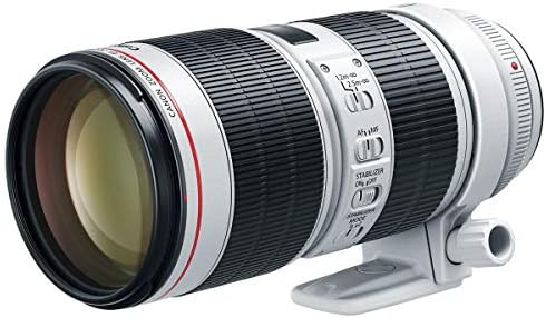 Canon EF 70-200mm f/2.8 L Е III USM Autofocus Телефото Зум Леќа - САД-СО Flashpoint Zoom Li - На X R2 TTL На Камерата Тркалезна Блиц Speedlight,