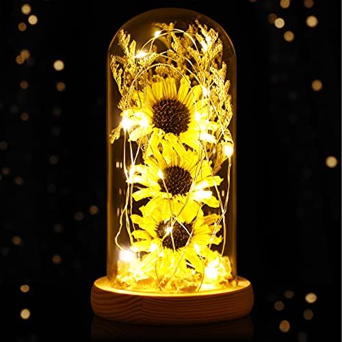 Осалади маѓепсани сончогледи со самовила светла во стаклена купола за домашни украси за забави на фестивали