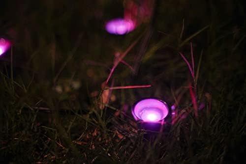 Сончева градина LED светла водоотпорна ламба со отворено поле за внатрешен пејзаж светло
