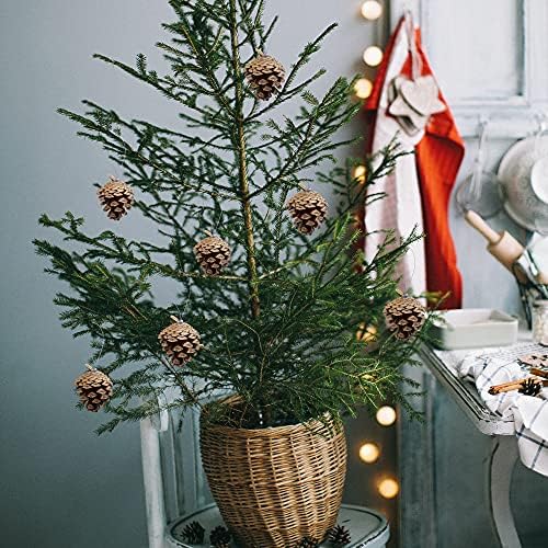 Делоки 35 парчиња Денот на благодарноста Природно висечки борови конуси-Божиќни дрвја што висат пинекони украси за подароци ознака