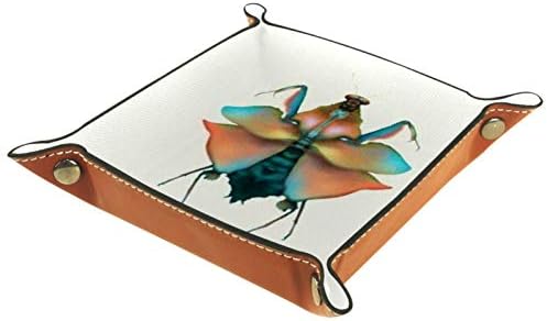 Lyetny Bright Mantis Storage Candy Holder Sundries Tray Tray Desktop Storage Организатор удобен за патување, 16x16cm