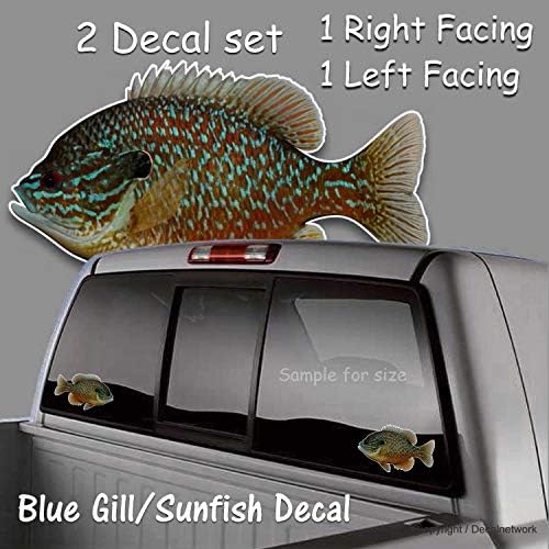 Bluegill Fish Panfish Vinyl Decal Set од 2 R-l сврти 5,5 x 9 слатководни риболов риболов риболов налепници за автомобили за прозорец за прозорец