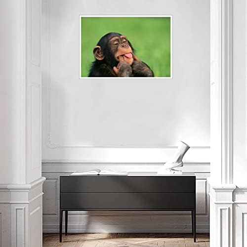Lzacvbw шимпанза постери за животни смешни мајмуни насмеани мајмуни постер платно печатење wallидна уметност за домашни канцелариски