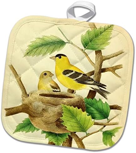 3drose гроздобер птици уметност печати Американски златен век прекрасен жолт птици. - Potholders
