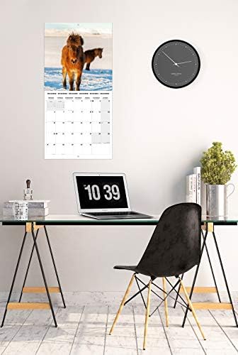 Групо Horк Коњи 2021 Ѕиден Календар 11,8 х 11,8 инчи Календар На Семејни Планери 2021 КП21015