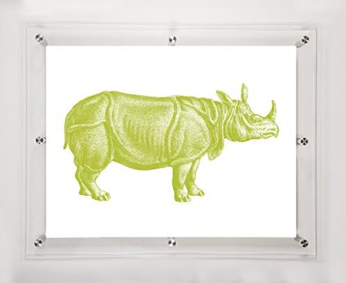 Носорог киви, 25, 5х31, 5ин.