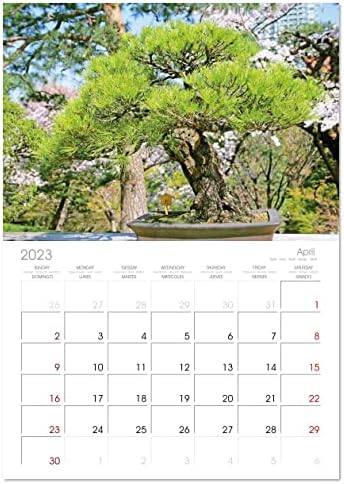 Бонсаи: градинарска уметност во мал обем ), калвендо 2023 месечен календар
