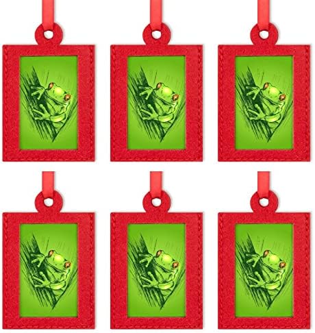 Обоени рачни скициски жаби мини Божиќна слика со рамка за слики, се чувствуваа висечки рамки за фотографии за забавни подароци за