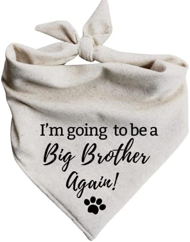Најава за бременост Куче Бандана Повторно ќе бидам Голем Брат! Овес Беж