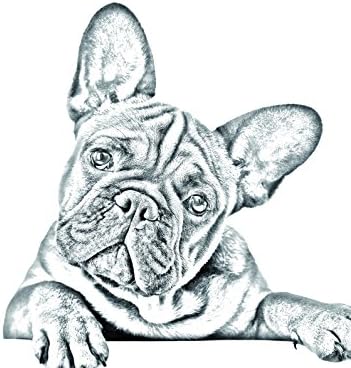 Француски Булдог, Овален Надгробен Споменик Од Керамичка Плочка со Слика На Куче