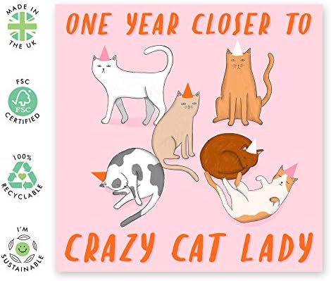 Централна 23 - Смешна роденденска картичка - Дизајн на шега „Мачка дама“ - за жени нејзината жена мама сестра - доаѓа со забавни налепници