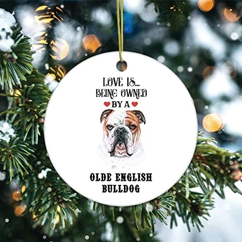 Прилагодени орнаменти од Божиќ, Loveубовта е во сопственост на име на кучиња, керамички украс, цитати украс, зимски 3 инчи зачувување за украсување на новогодишни елк?