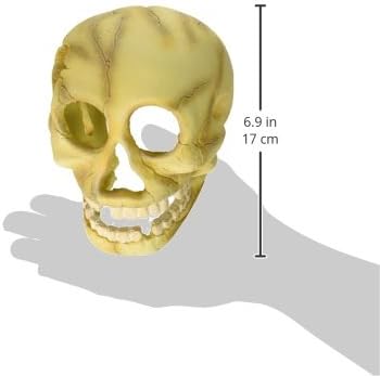 Комплет за украси на Хидор Деко, човечки череп, бел LED
