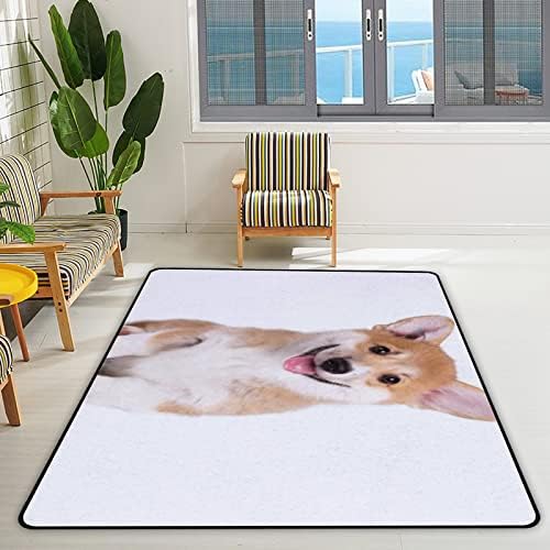 Xollar 80 x 58 во големи детски области килими симпатични корги пемброк кутре куче мека расадник бебе плејматски килим за детска