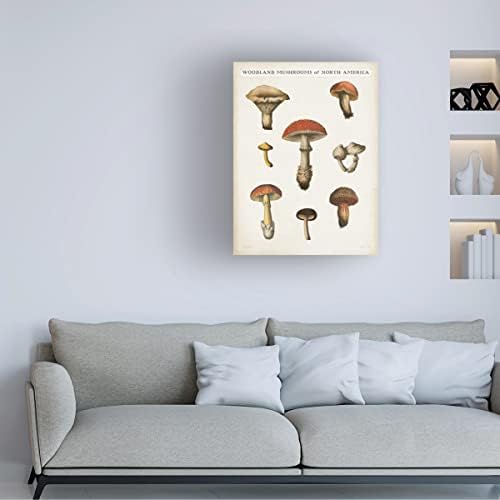 Трговска марка ликовна уметност „Табела за печурки II светлина“ Арт од платно од портфолио на диво јаболко 18x24