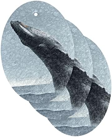 Алаза Хампбек кит животинско море природно сунѓери кујнски целулоза сунѓер за миење садови за миење бања и чистење на домаќинства, не-крик