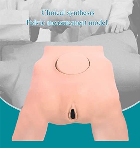 Модел за мерење на карлицата GHDE & MD, женски карличен модел акушерство и обука за вештина за гинекологија манекен за настава по гинекологија,