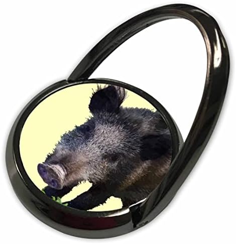 3drose свиња што прави векторска уметност за контакт со очите - Телефонски ringsвони