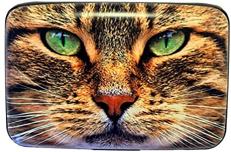 Смоква Дизајн Група Зелена Око Мачка РФИД Безбедна Заштита Кражба Кредитна Картичка Оклопни Паричник Миленичиња Нови
