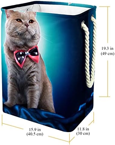 Креативна мачка со лак вратоврска сина корпа за перење алишта што може да се сруши правоаголен организатор за попречување за унисекс возрасни, тинејџери, момчиња, ?