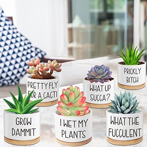 Succulent садови 6 пакувања, 3,15 ”керамички смешни сукулентни жардинери со дренажа и бамбус лента, мали садови за растенија со етикети за растенија