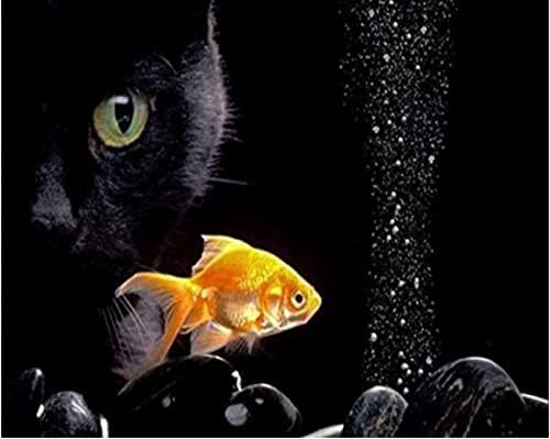 5d дијамантски сликарство со целосен круг дијамантски возрасни дигитални алатки комплет црна мачка животинска риба везови вкрстено