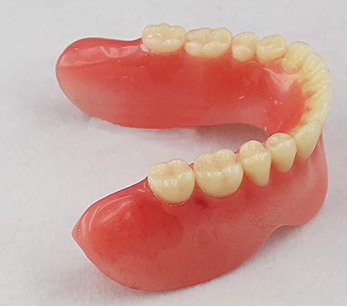 Модел на имплантација на забите на забите на вилицата М-2014б